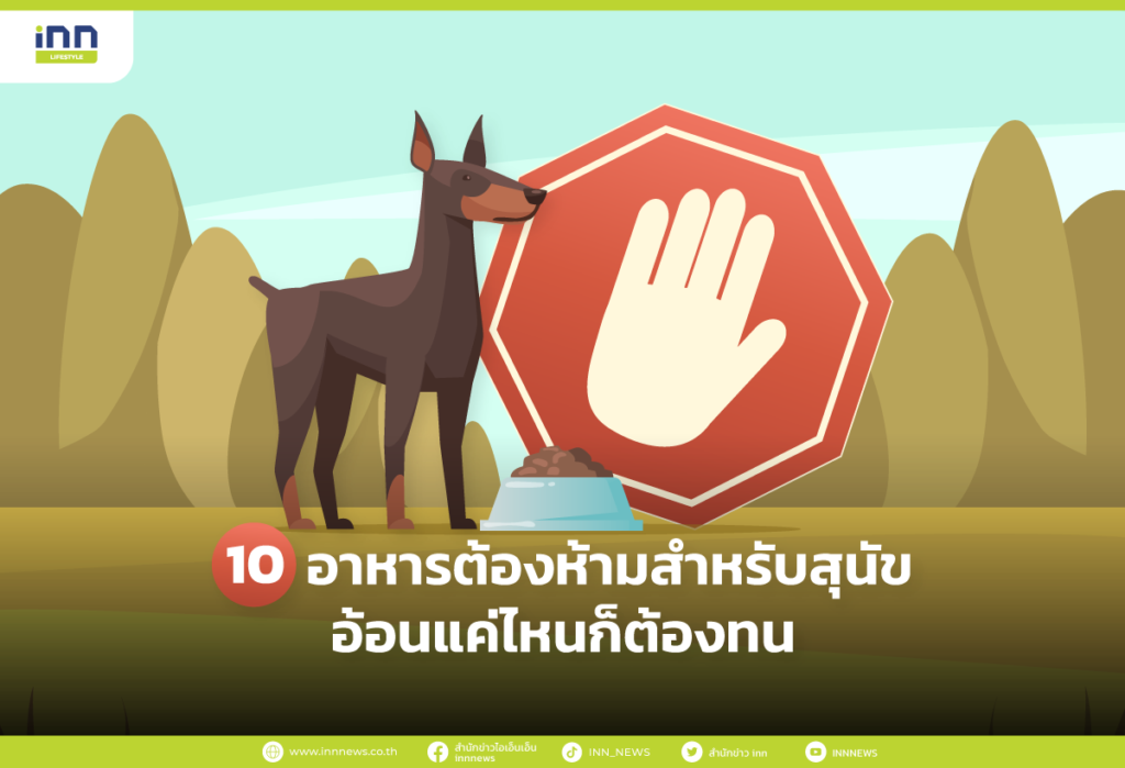 อาหารต้องห้ามสำหรับสุนัข