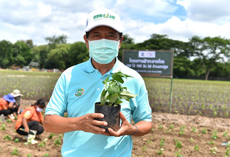 โครงการ "ปันปลูก-ฟ้าทะลายโจร100 ไร่ 100 วัน"