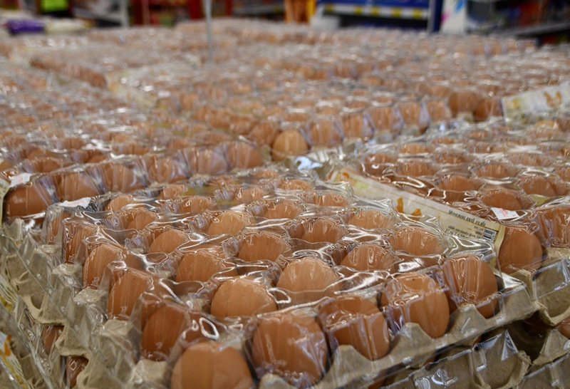 ไข่ไก่ 2