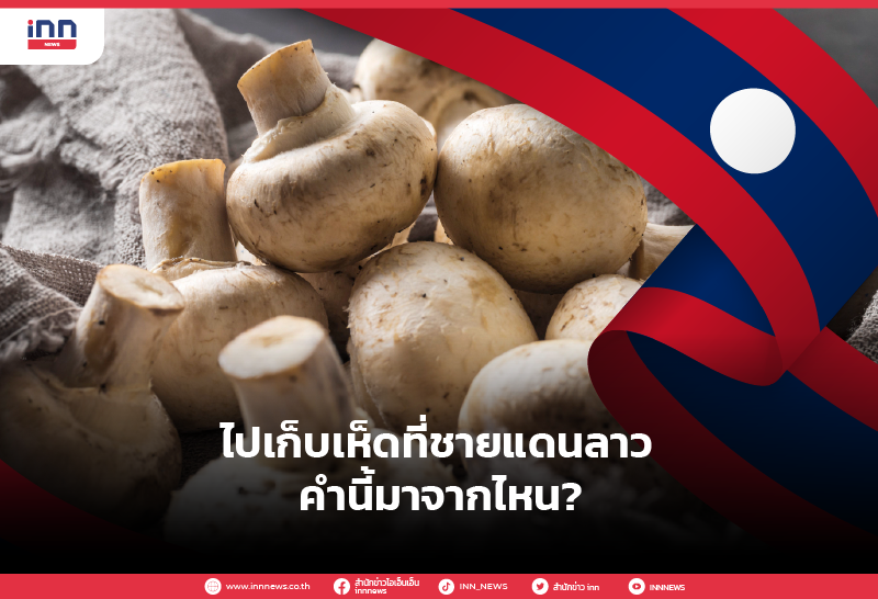 ไปเก็บเห็ดที่ชายแดนลาว