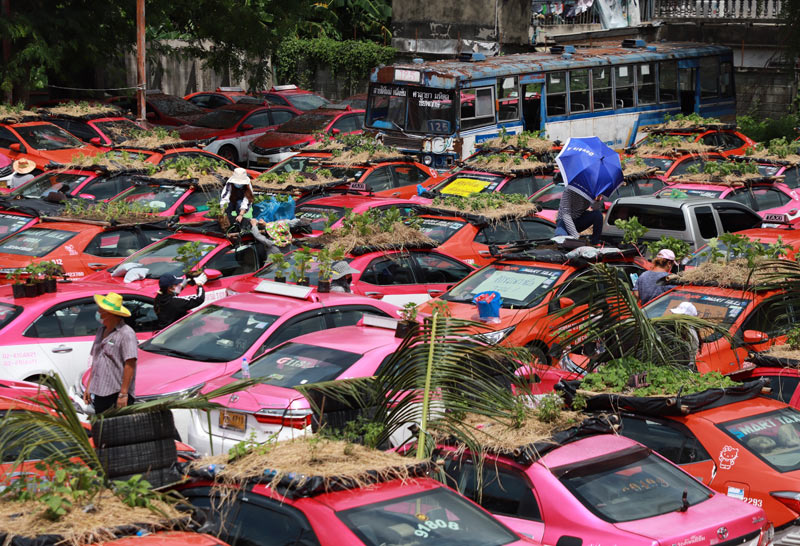 แท็กซี่จอดร้างเปลี่ยนเป็นแปลงผัก-เลี้ยงกบ