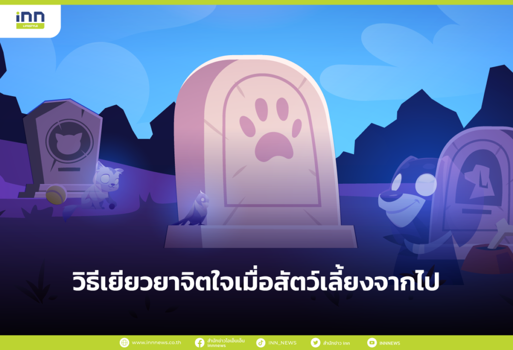 วิธีเยียวยาจิตใจเมื่อสัตว์เลี้ยงจากไป
