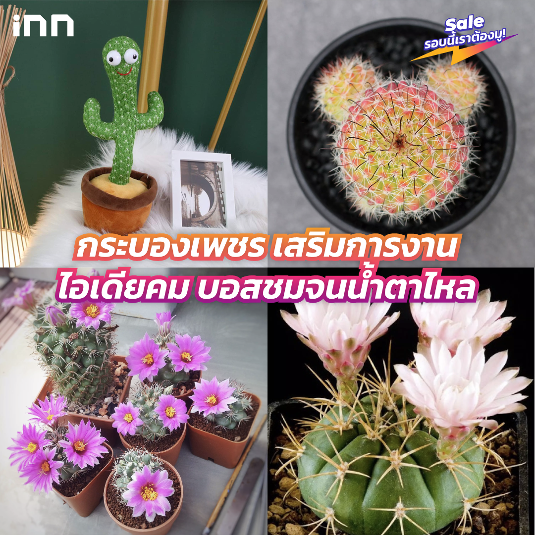 10-10สายมู-01