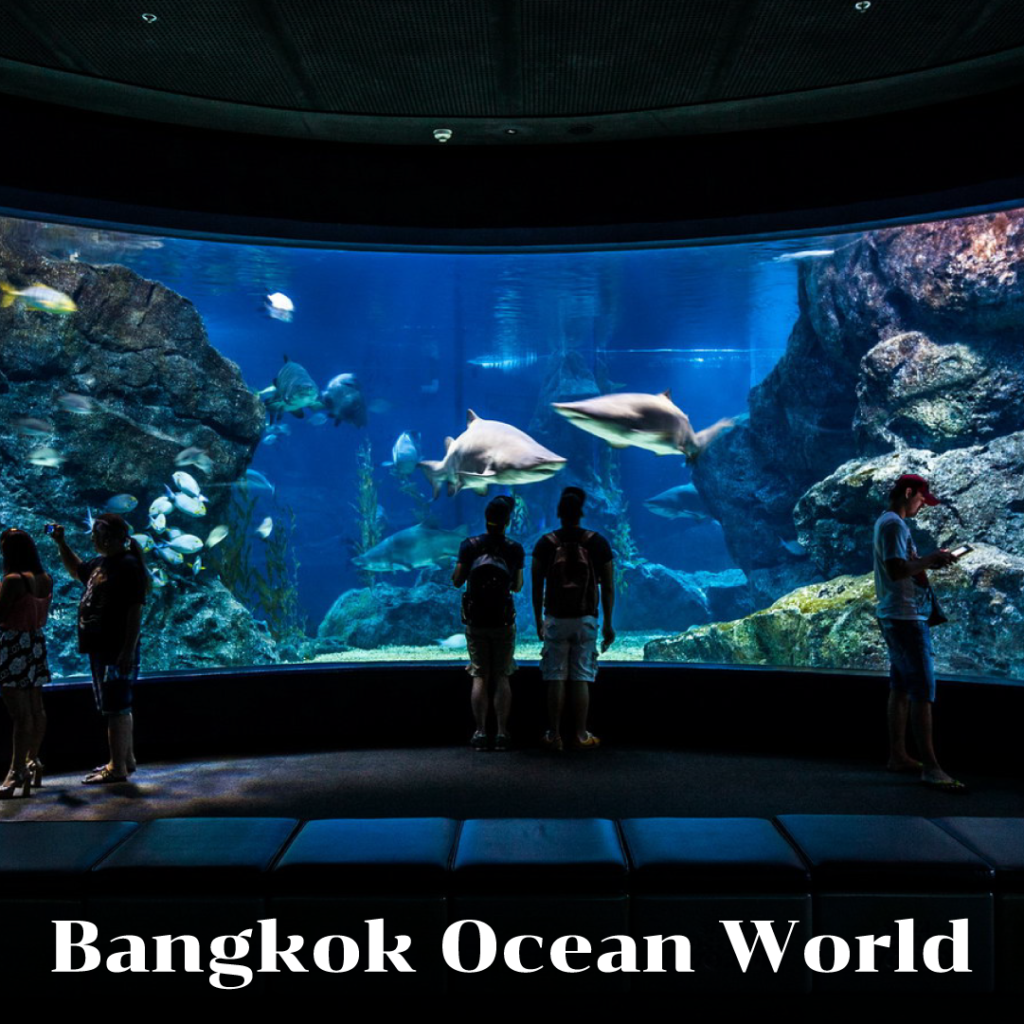 Bangkok Ocean World