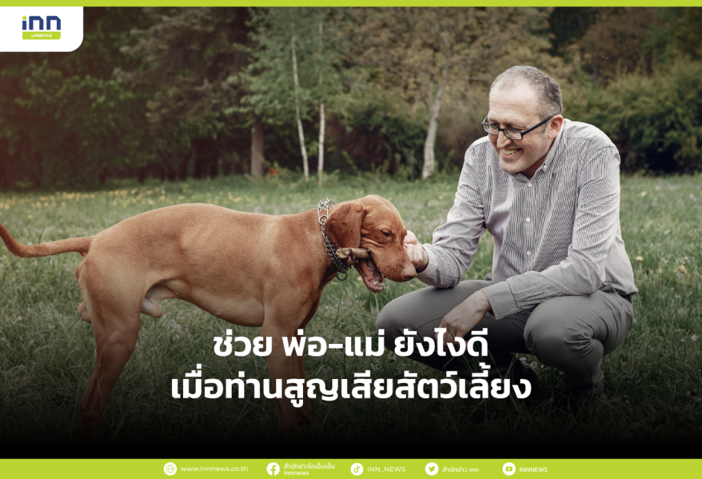 ช่วย พ่อ-แม่ ยังไงดีเมื่อท่านสูญเสียสัตว์เลี้ยง