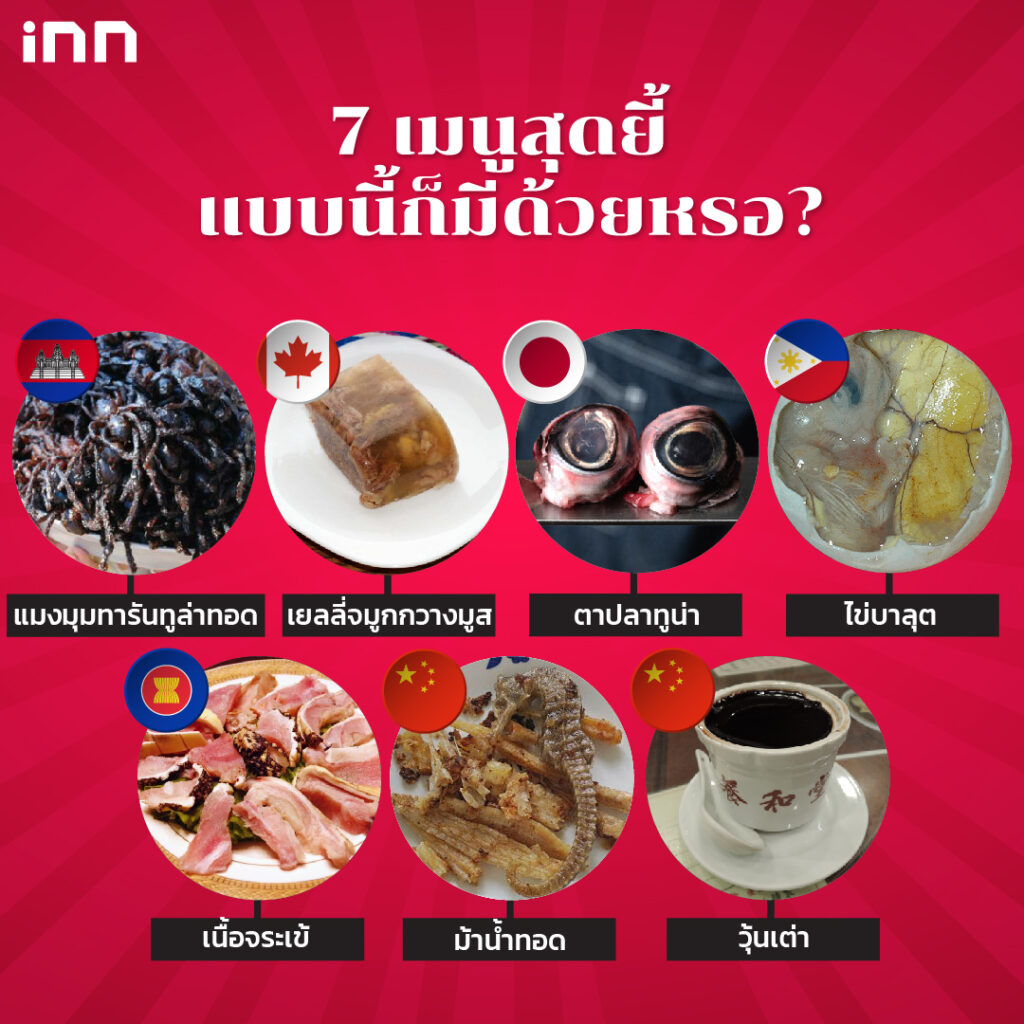 รวมเมนูอาหารสุดแปลก ที่หลายคนเห็นแล้วจะต้องตกใจ