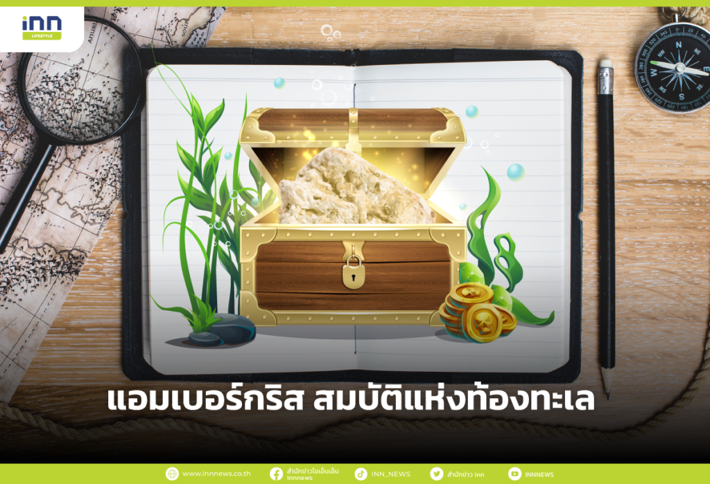 แอมเบอร์กริส สมบัติแห่งท้องทะเล