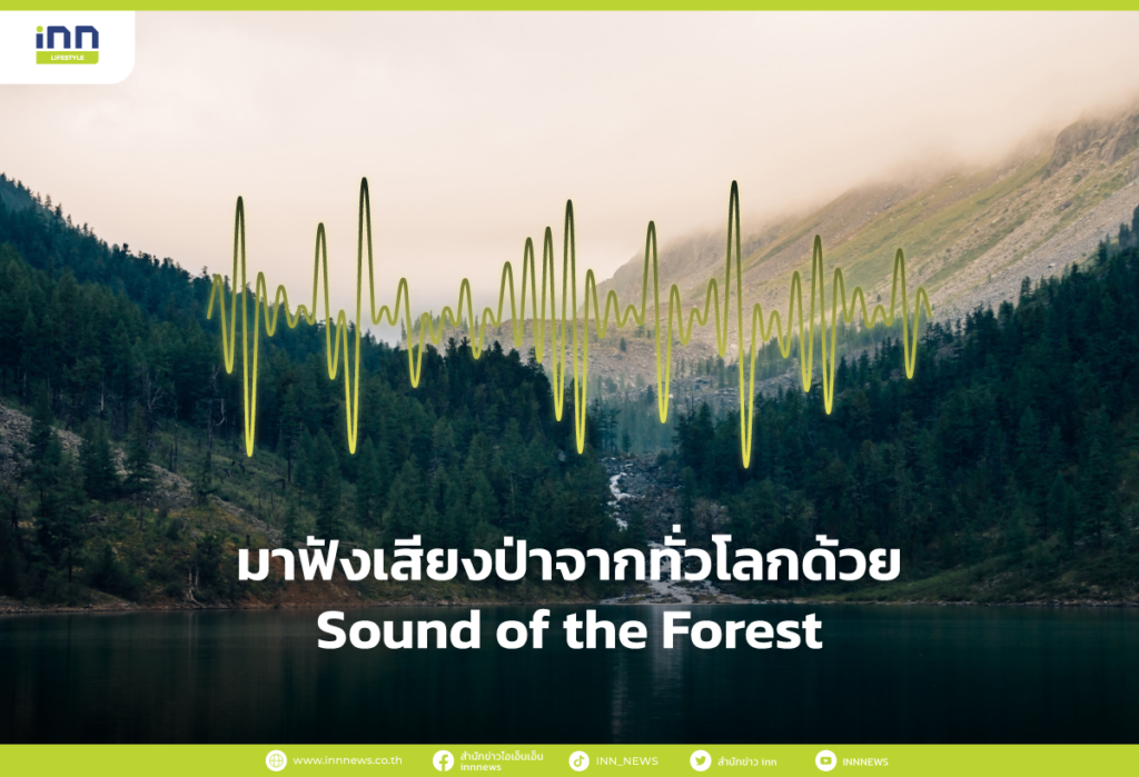 มาฟังเสียงป่าจากทั่วโลกด้วย Sound of the Fores