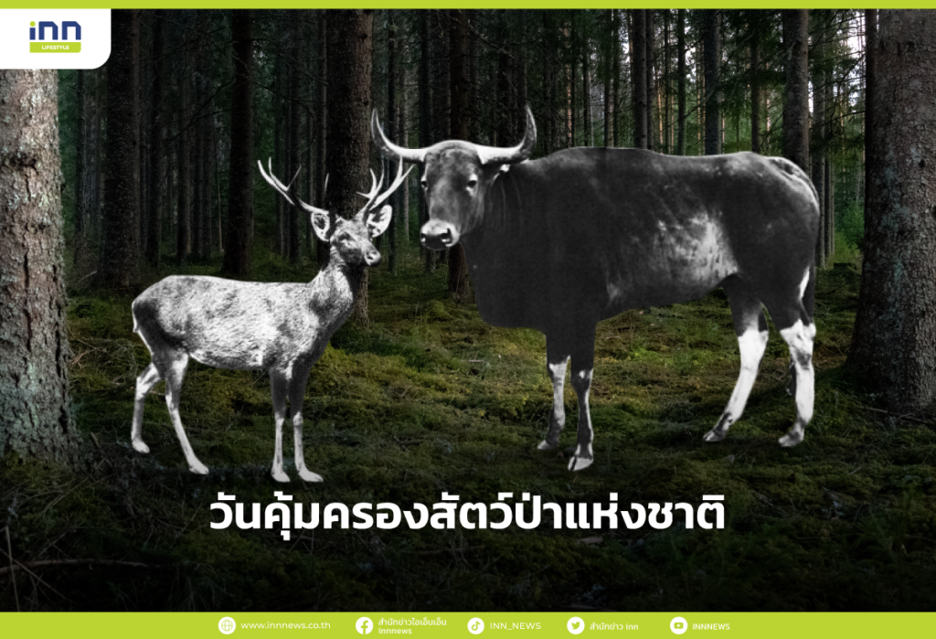 วันคุ้มครองสัตว์ป่าแห่งชาติ