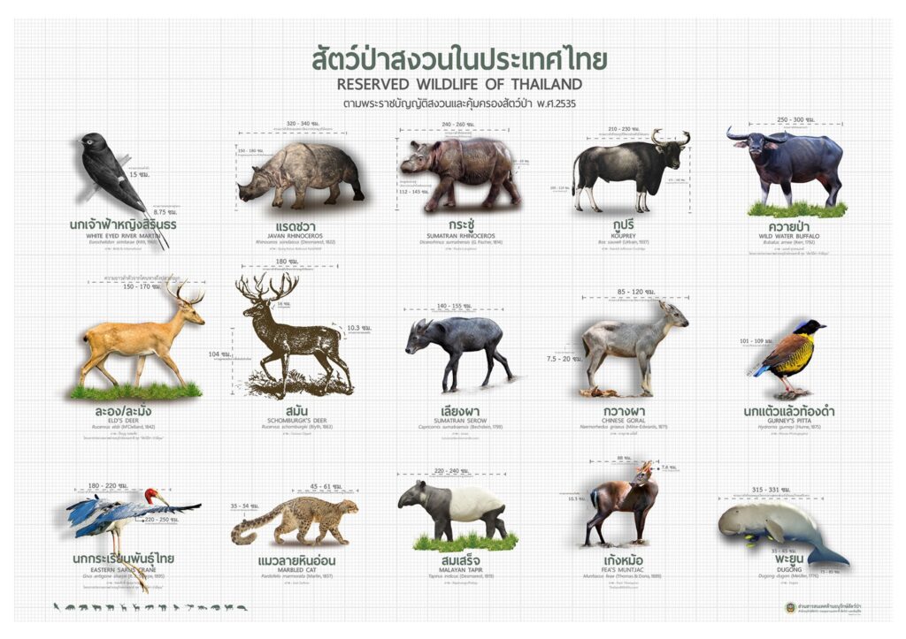 สัตว์ป่าสงวนในประเทศไทย
