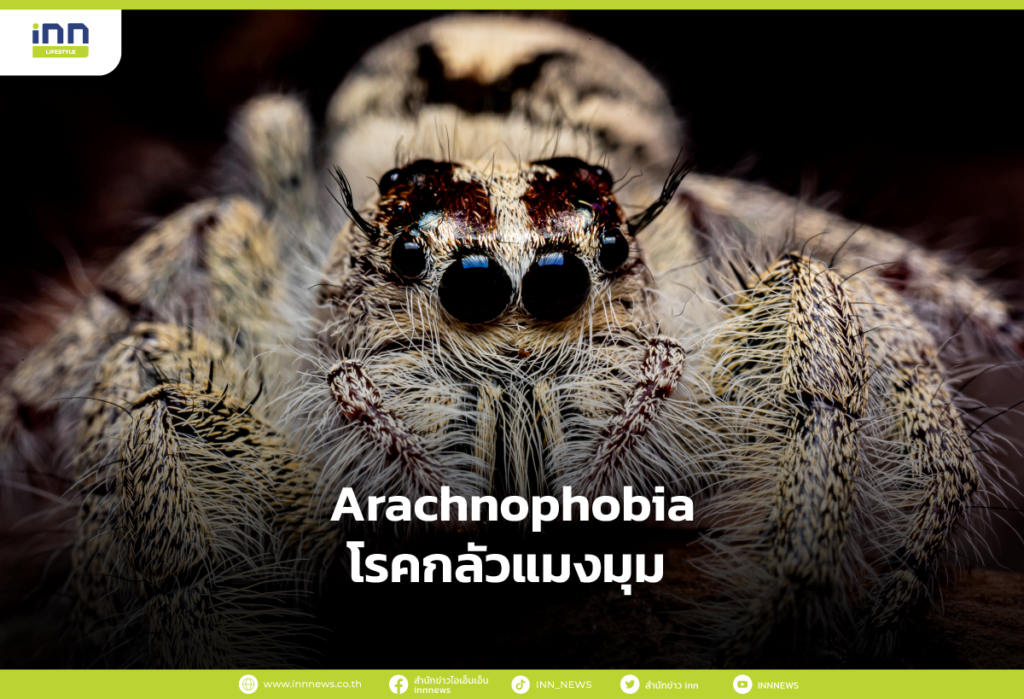 Arachnophobia โรคกลัวแมงมุม