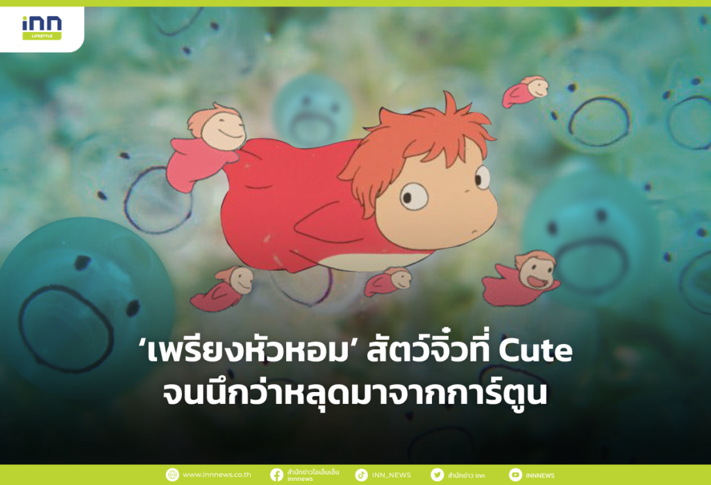 เพรียงหัวหอม