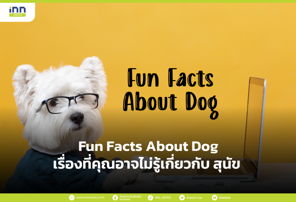 Fun Facts About Dog เรื่องที่คุณอาจไม่รู้เกี่ยวกับ สุนัข