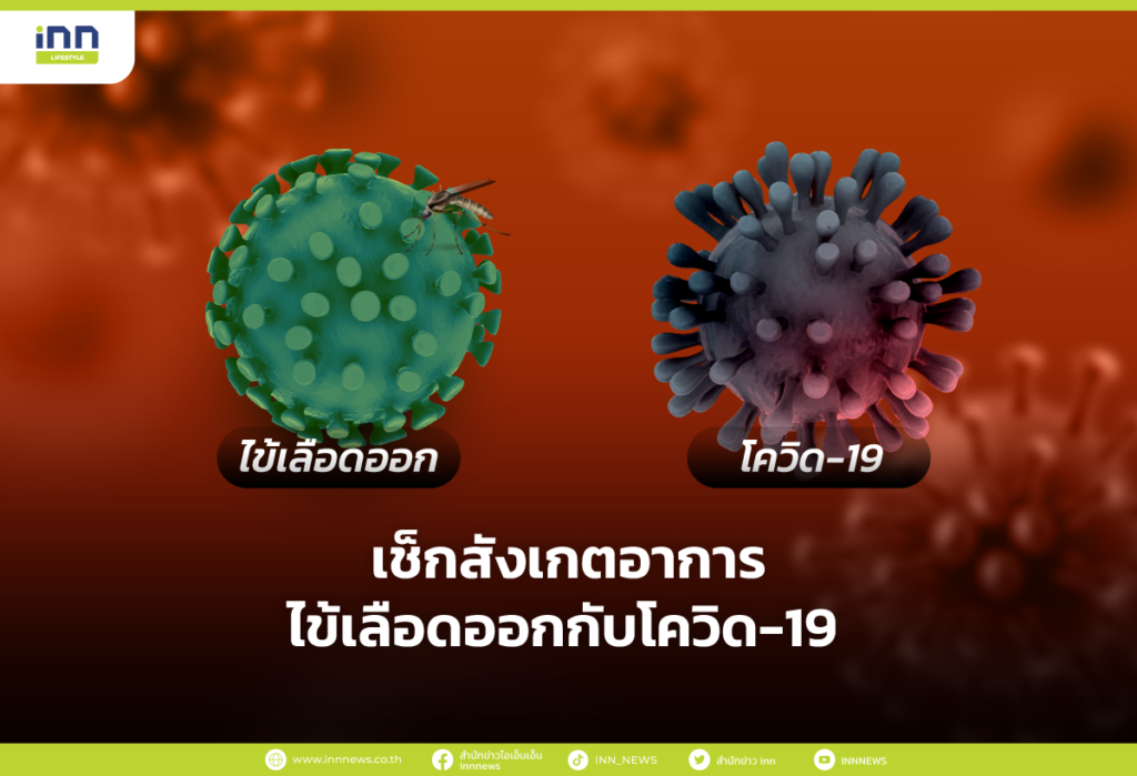 เช็กสังเกตอาการไข้เลือดออกกับโควิด-19