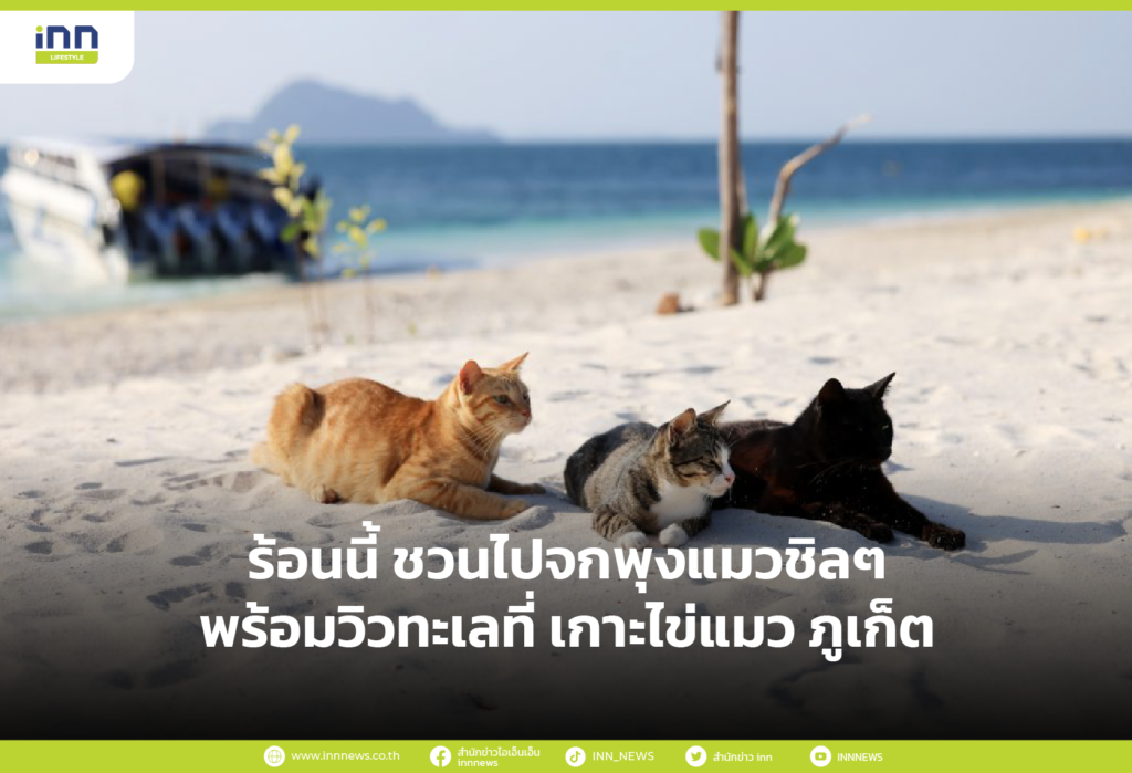 ร้อนนี้ ชวนไปจกพุงแมวชิลๆพร้อมวิวทะเลที่ เกาะไข่แมว ภูเก็ต