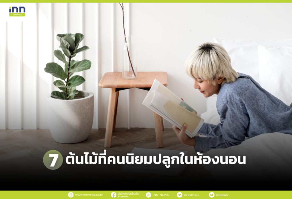 7 ต้นไม้ที่คนนิยมปลูกในห้องนอน