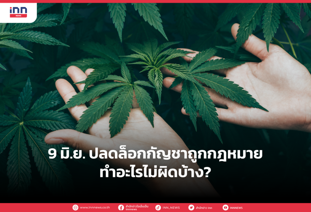 9 มิ.ย. ปลดล็อกกัญชาถูกกฎหมาย
