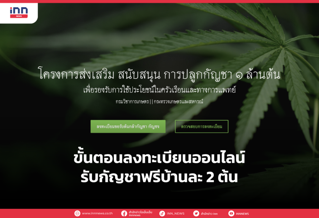ขั้นตอนลงทะเบียนออนไลน์รับกัญชาฟรีบ้านละ 2 ต้น