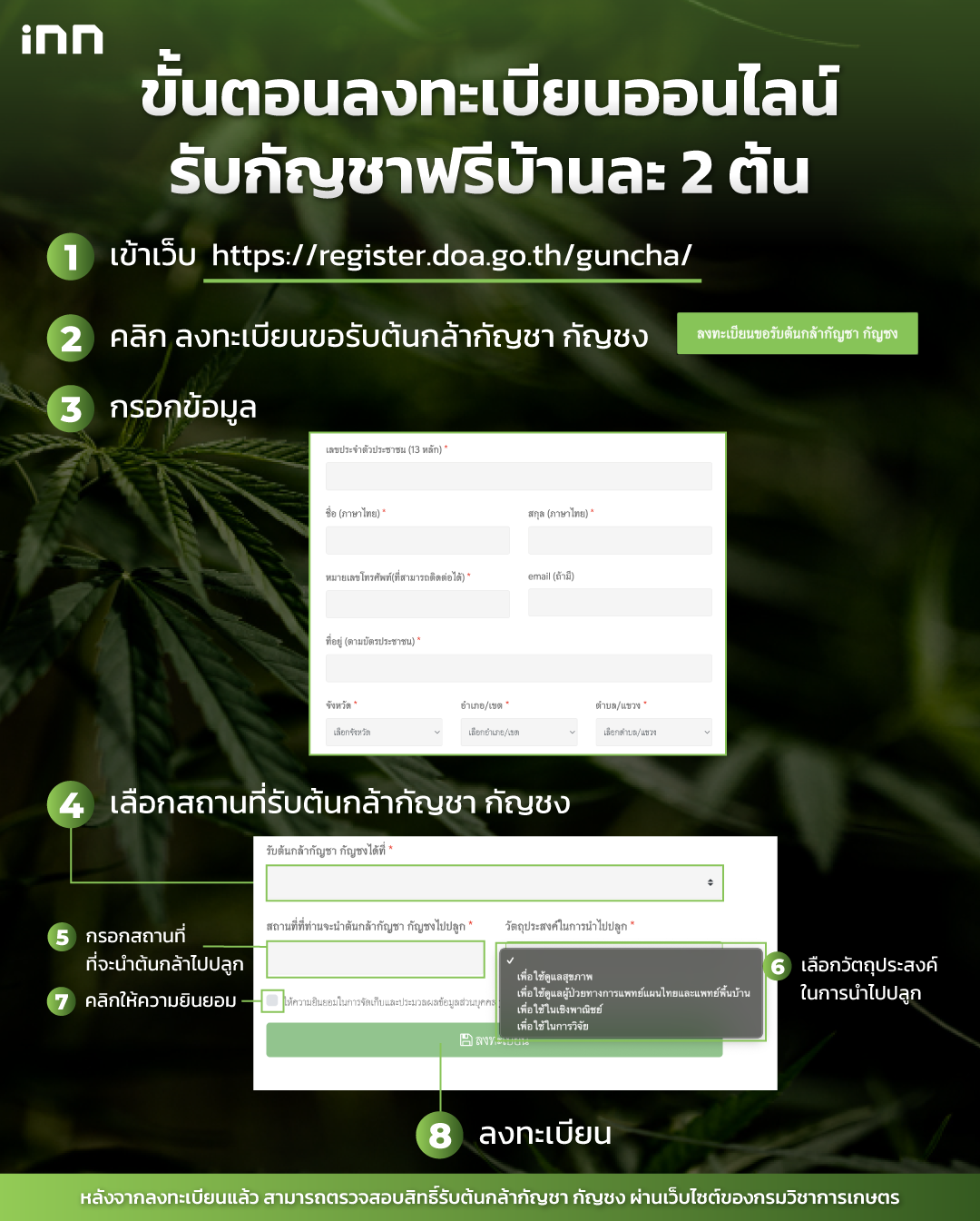 ลงทะเบียนออนไลน์รับกัญชาฟรีบ้านละ 2 ต้น