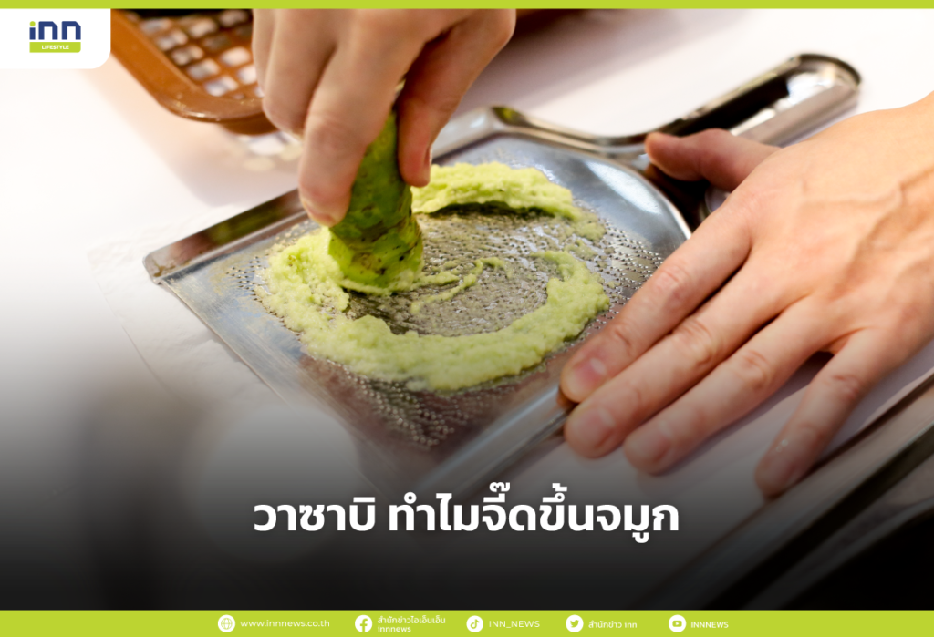 วาซาบิ ทำไมจี๊ดขึ้นจมูก