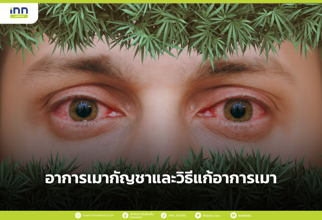 อาการเมากัญชาและวิธีแก้อาการเมา