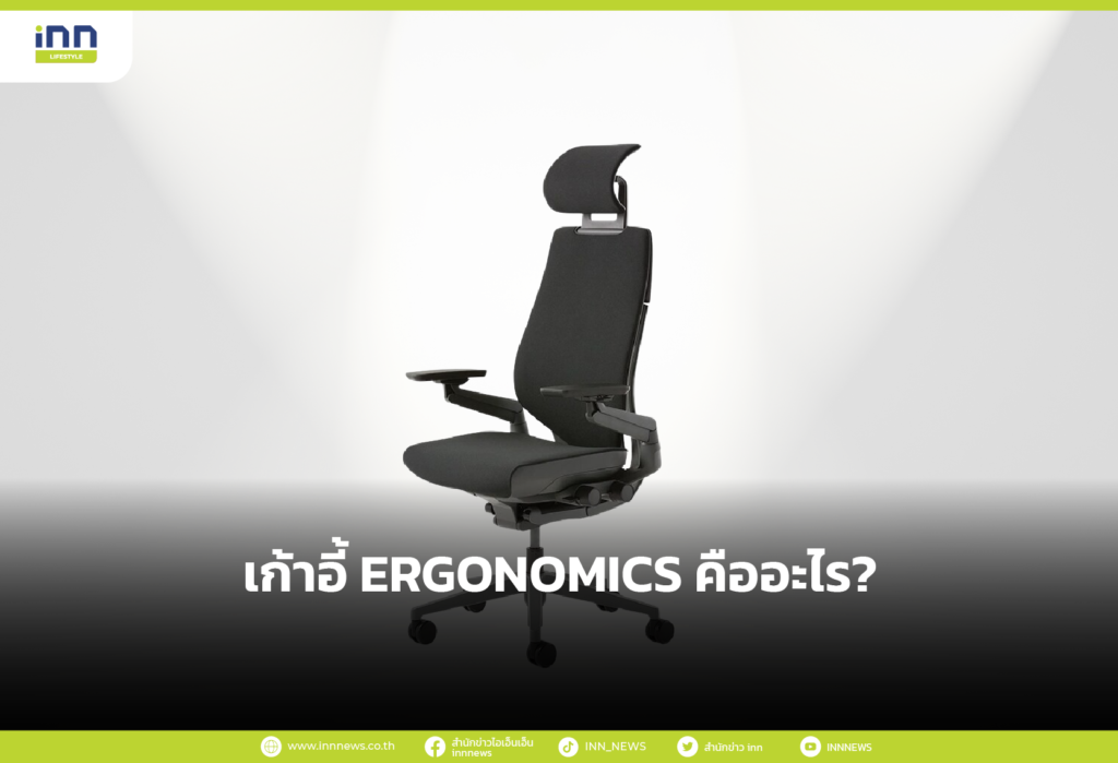 เก้าอี้ ERGONOMICS