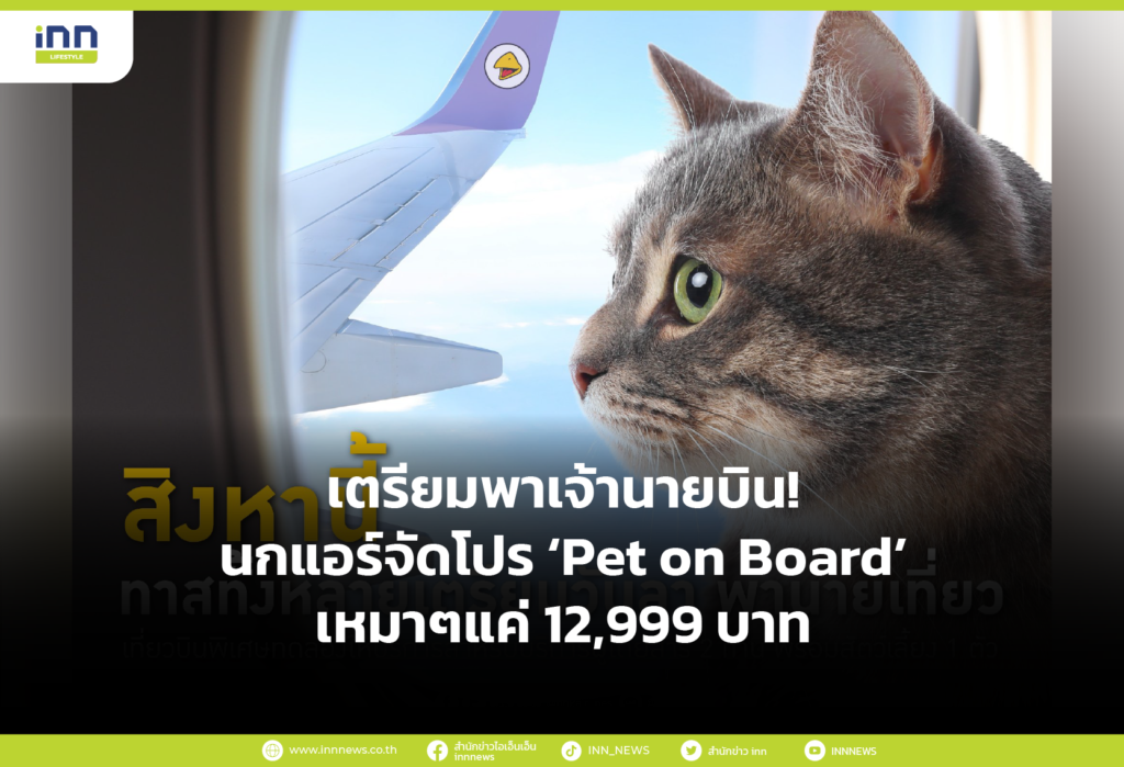 เตรียมพาเจ้านายบิน! นกแอร์จัดโปร ‘Pet on Board’ เหมาๆแค่ 12,999 บาท