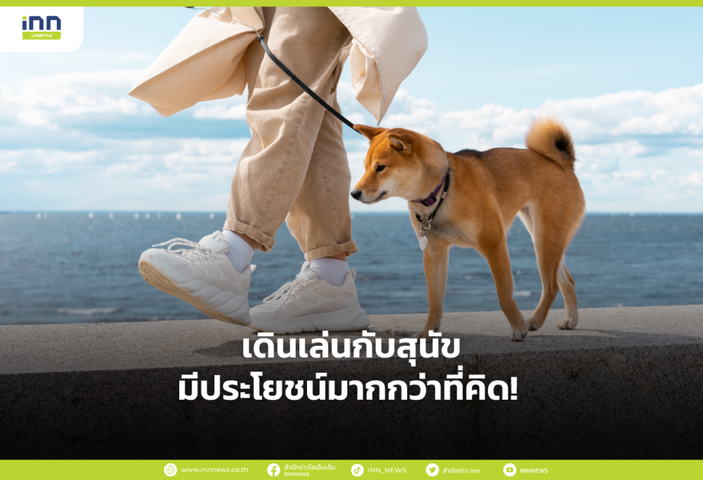 เดินเล่นกับสุนัข มีประโยชน์มากกว่าที่คิด!