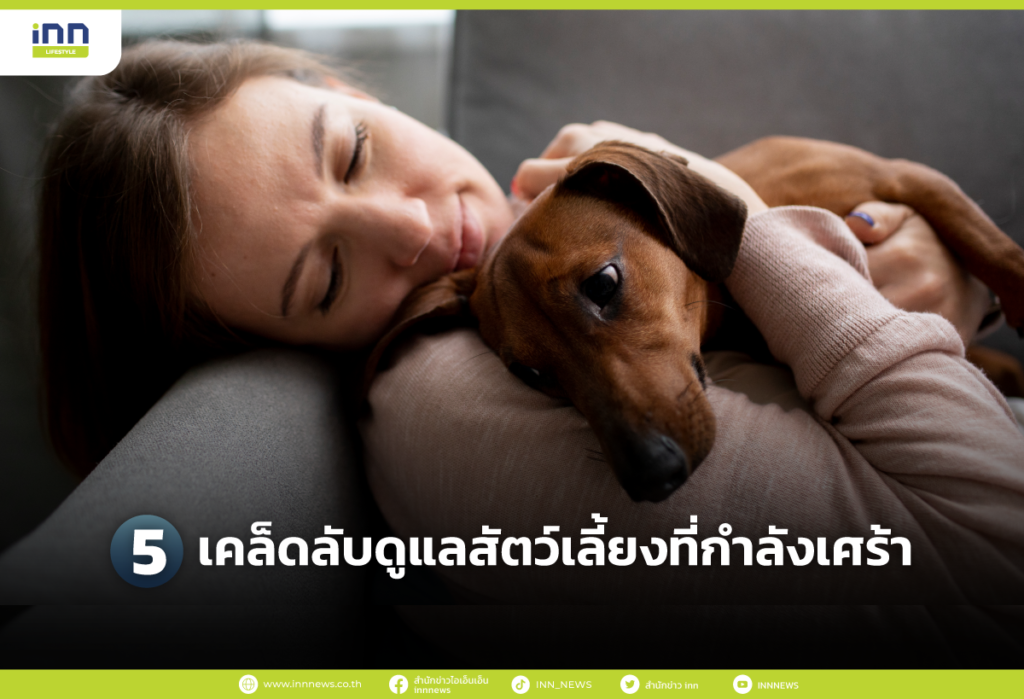 5 เคล็ดลับดูแลสัตว์เลี้ยงที่กำลังเศร้า