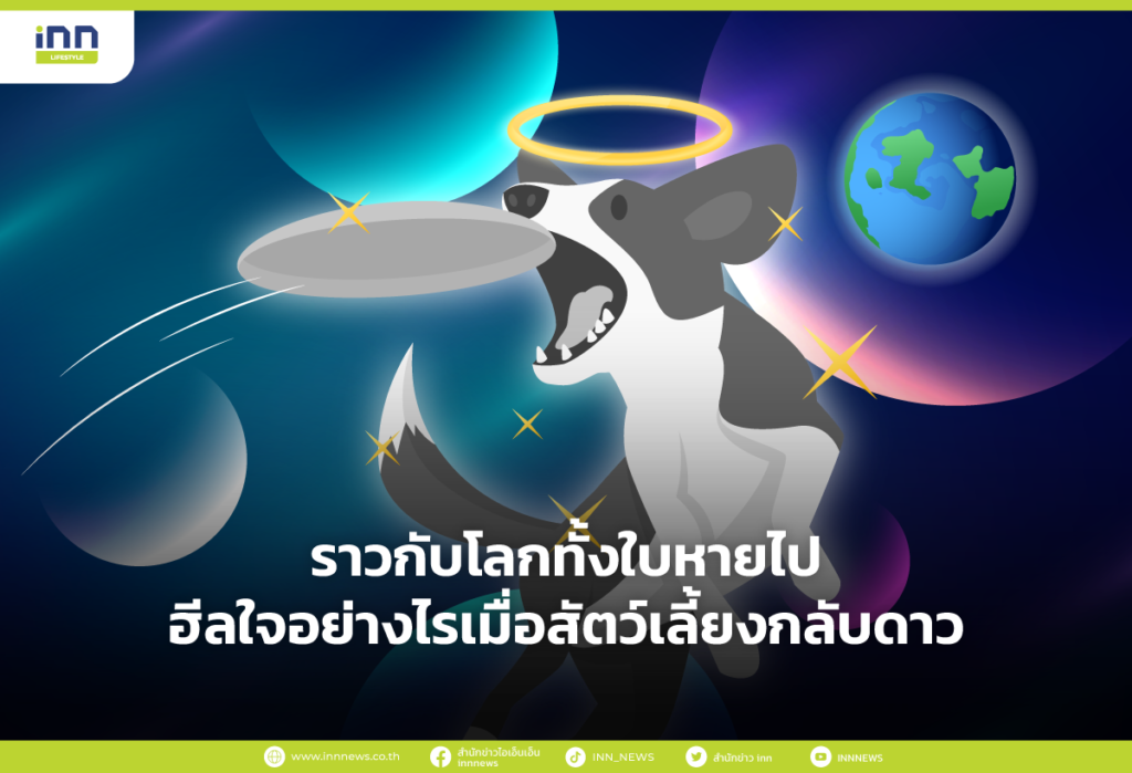 ราวกับโลกทั้งใบหายไป