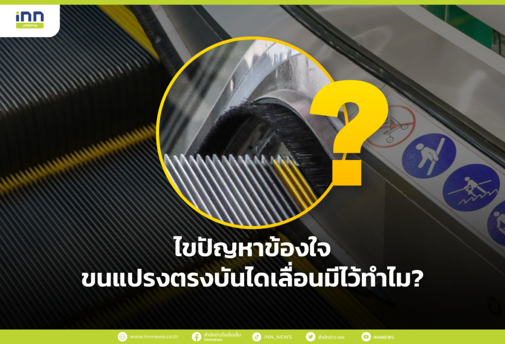 ไขปัญหาข้องใจ ขนแปรงตรงบันไดเลื่อนมีไว้ทำไม