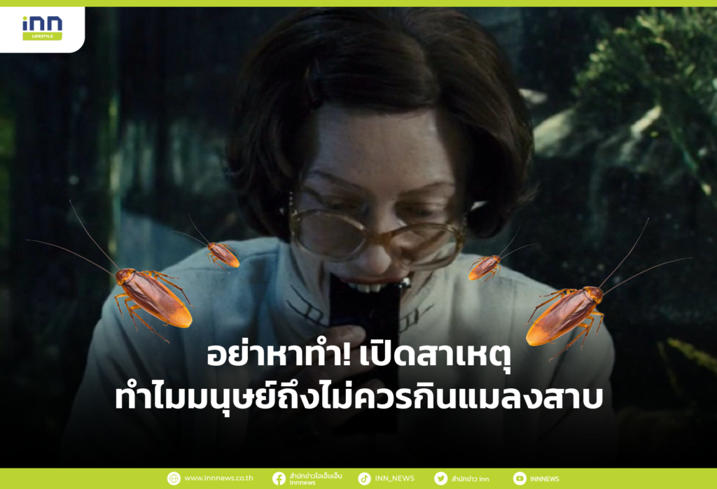 อย่าหาทำ! เปิดสาเหตุทำไมมนุษย์ถึงไม่ควรกินแมลงสาบ