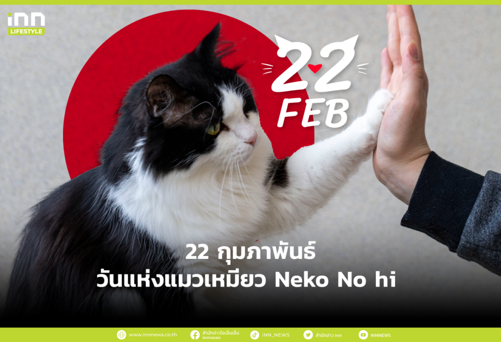 22 กุมภาพันธ์ วันแห่งแมวเหมียว Neko No hi