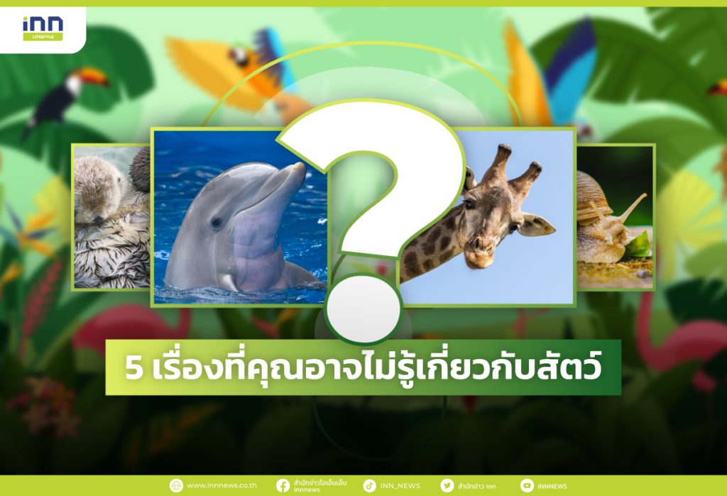 WEB_5-เรื่องที่คุณอาจไม่รู้เกี่ยวกับสัตว์-02