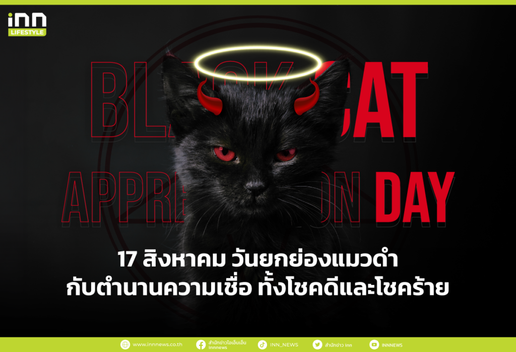 17 สิงหาคม วันยกย่องแมวดำกับตำนานความเชื่อ ทั้งโชคดีและโชคร้าย