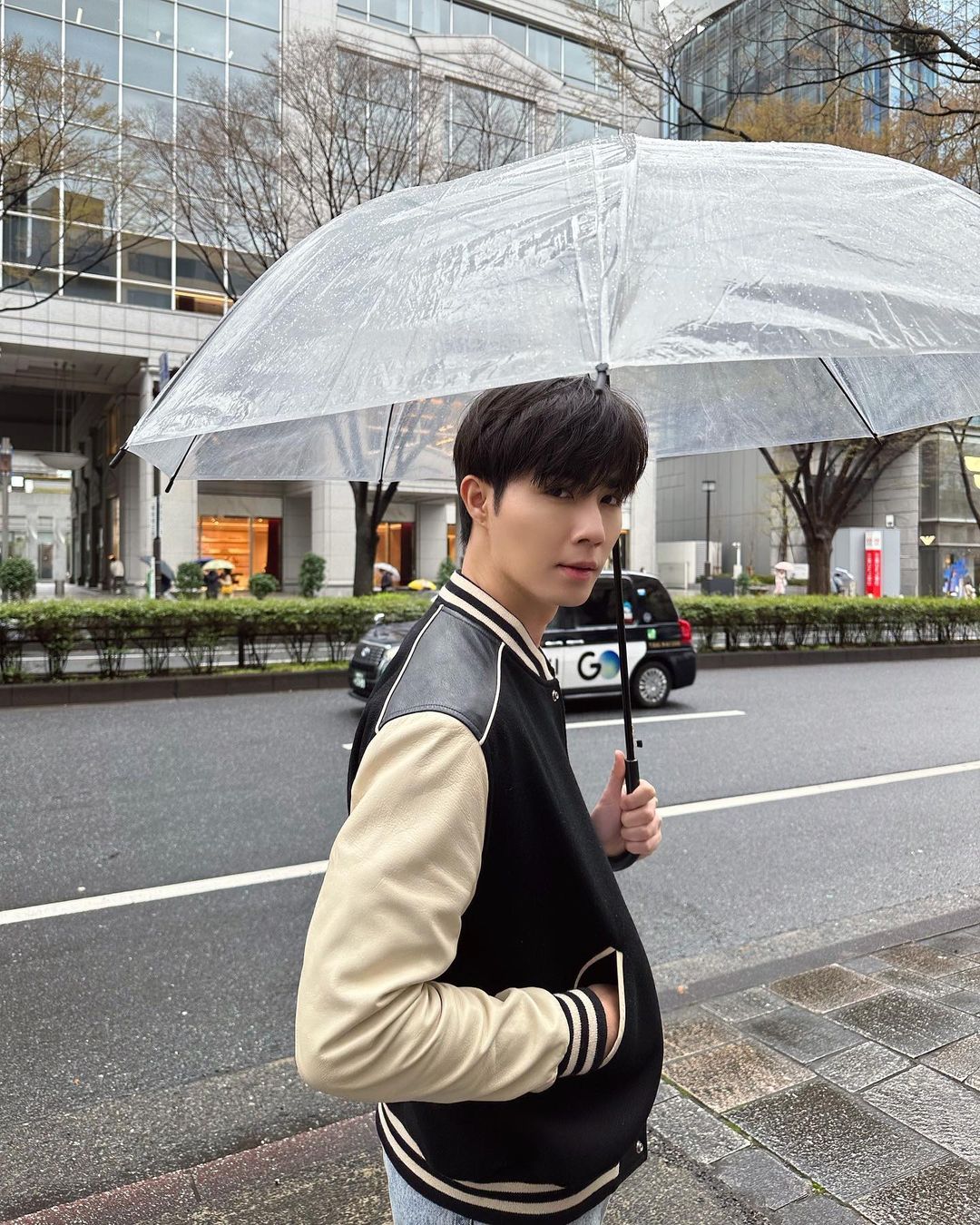 ซี พฤกษ์ พานิช