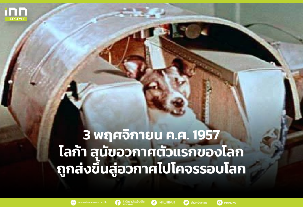 3 พฤศจิกายน ค.ศ. 1957 ไลก้า สุนัขอวกาศตัวแรกของโลก ถูกส่งขึ้นสู่อวกาศไปโคจรรอบโลก