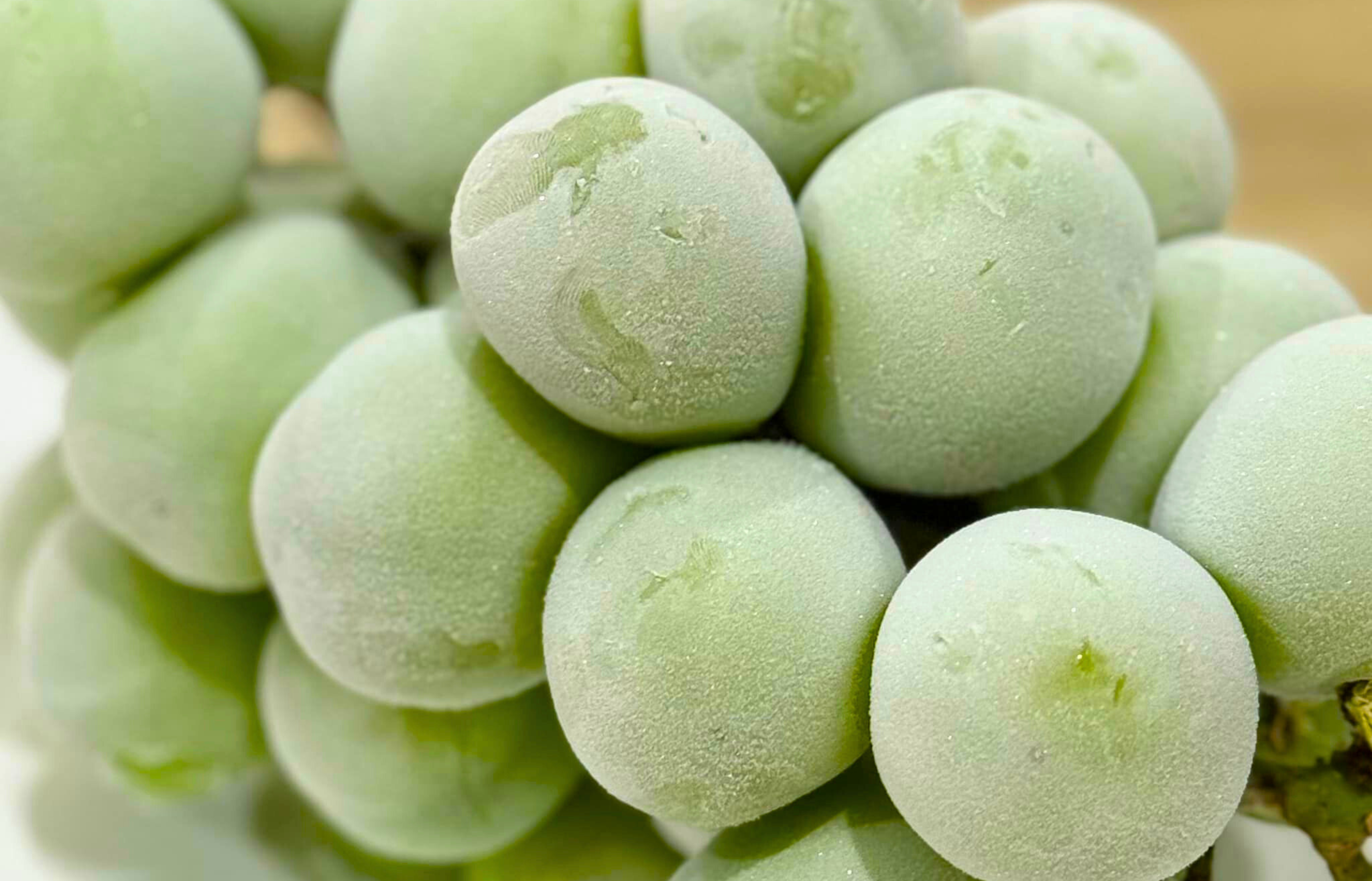 องุ่นไซน์มัสแคทแช่แข็ง