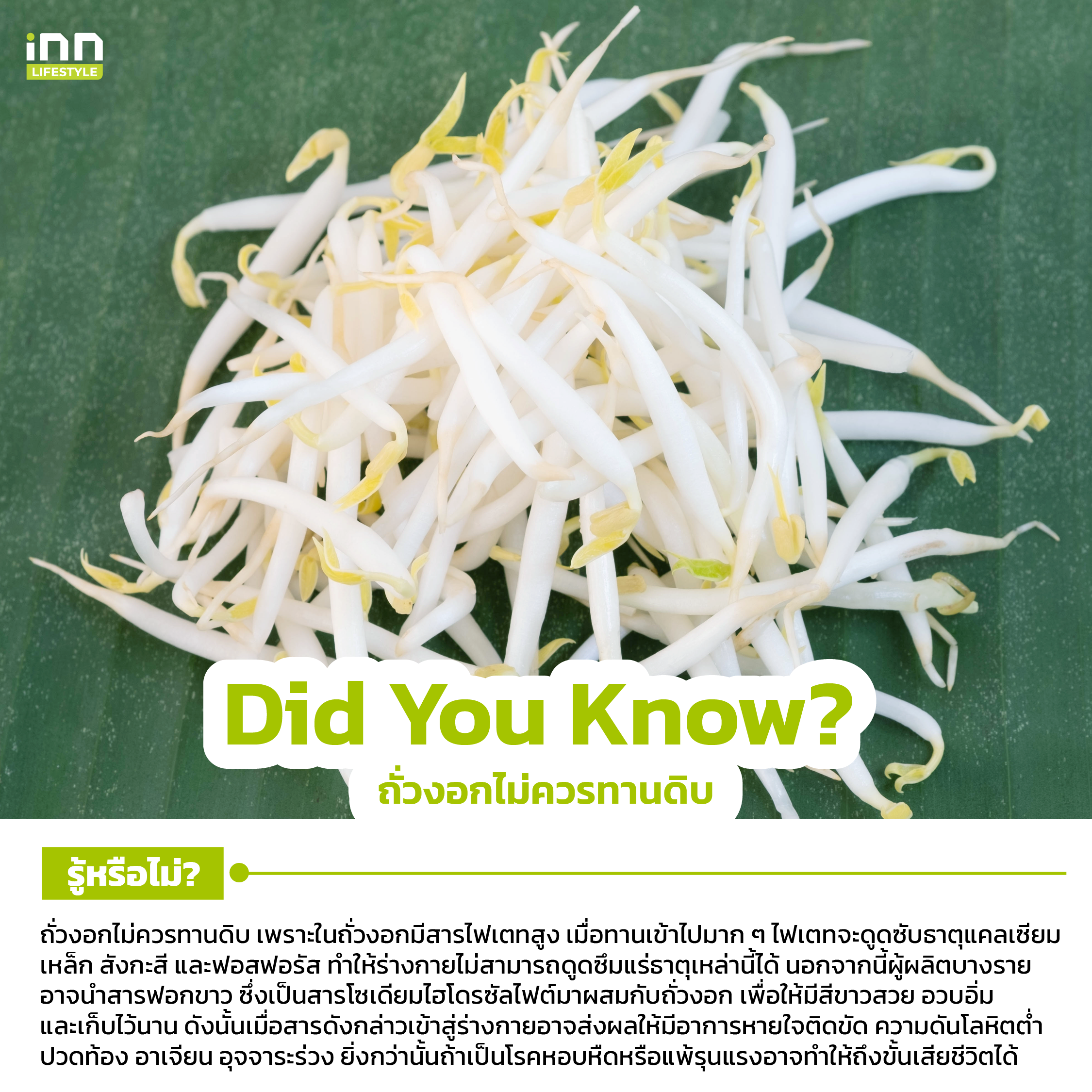 ถั่วงอกไม่ควรทานดิบ