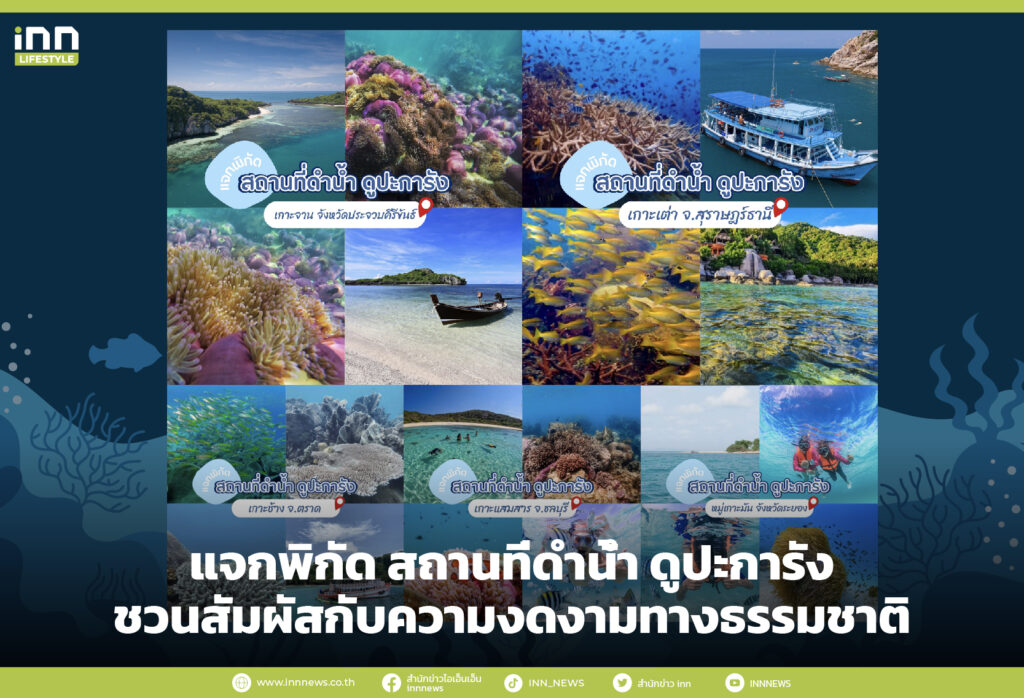 แจกพิกัด สถานที่ดำน้ำ ดูปะการัง ชวนสัมผัสกับความงดงามทางธรรมชาติ