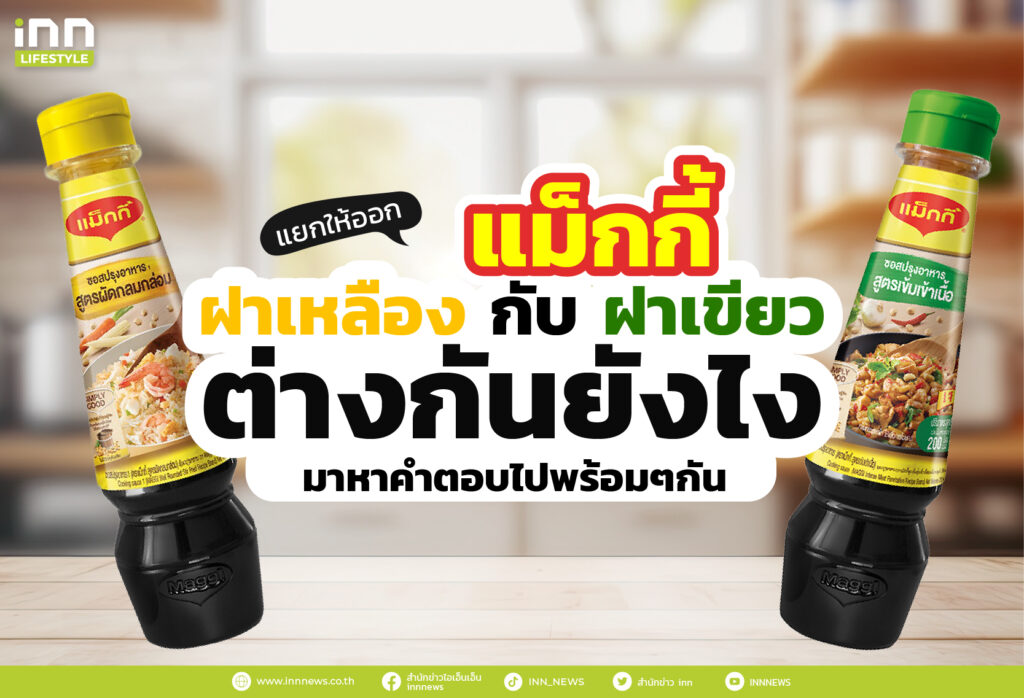 แยกให้ออก แม็กกี้ฝาเหลือง กับ ฝาเขียว ต่างกันยังไง มาหาคำตอบไปพร้อมๆกัน