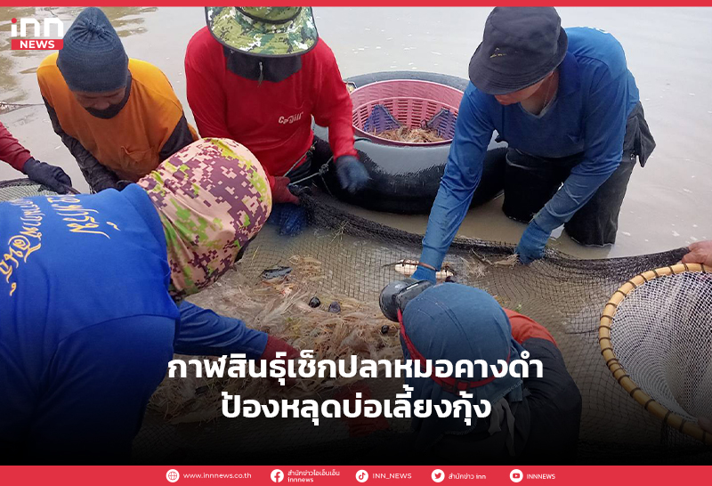 ปลาหมอคางดำ