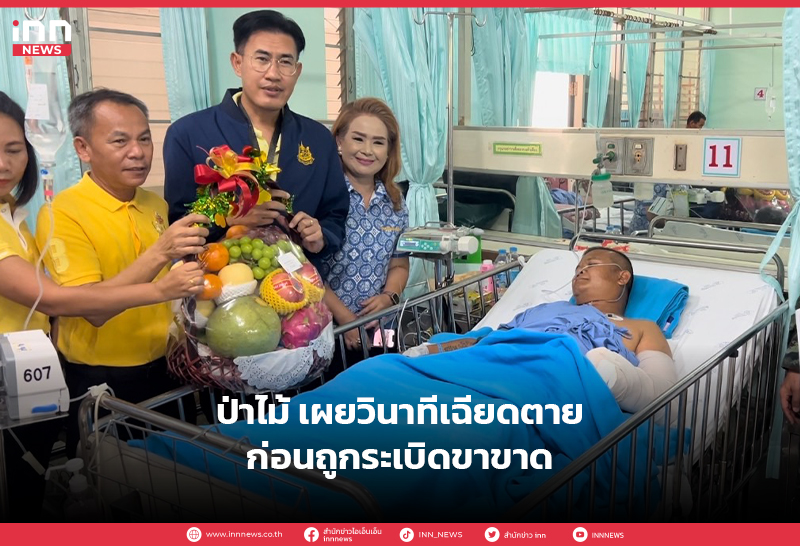 ป่าไม้