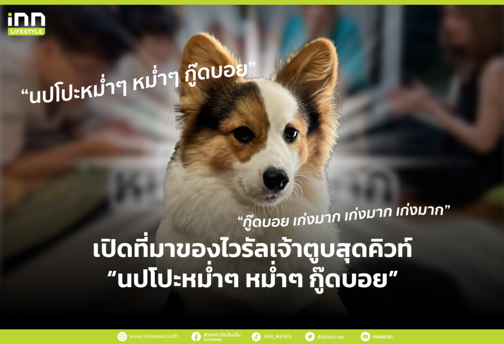 นปโปะหม่ำๆ