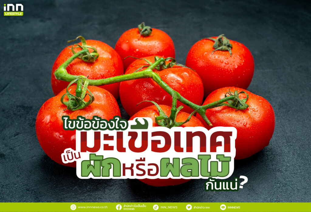 ไขข้อข้องใจ! มะเขือเทศเป็นผักหรือผลไม้กันแน่