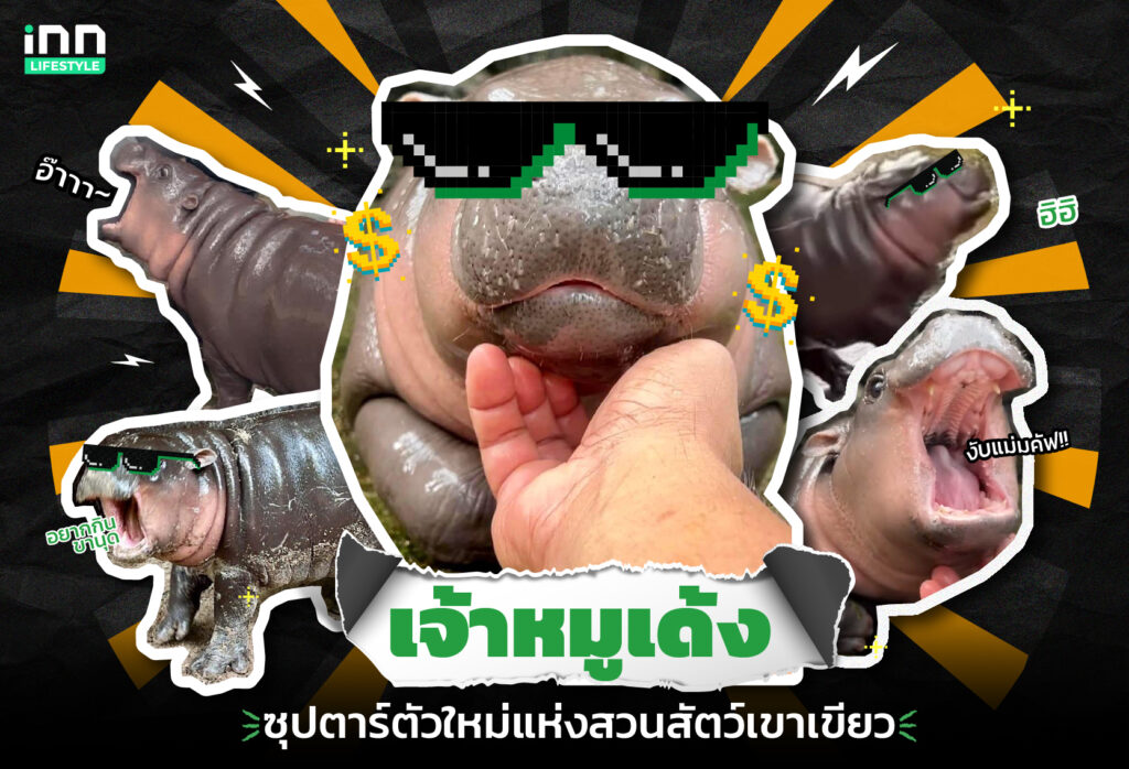 น้องหมูเด้ง