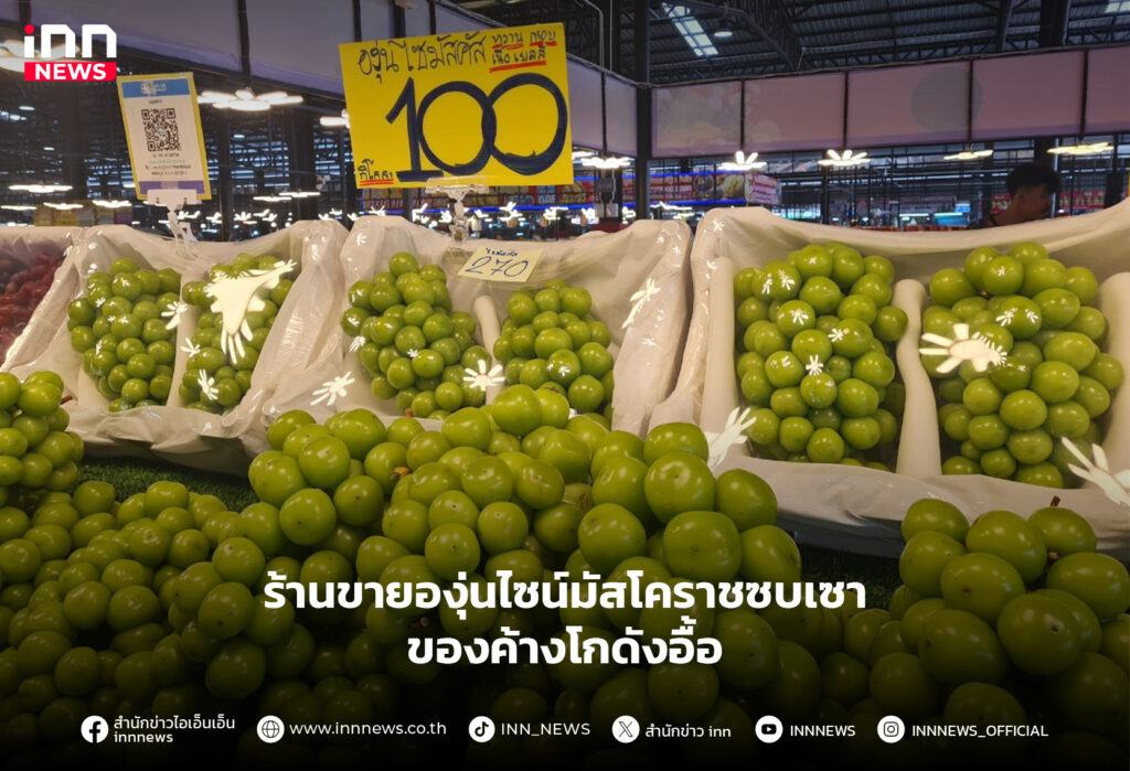 องุ่นไซน์มัส