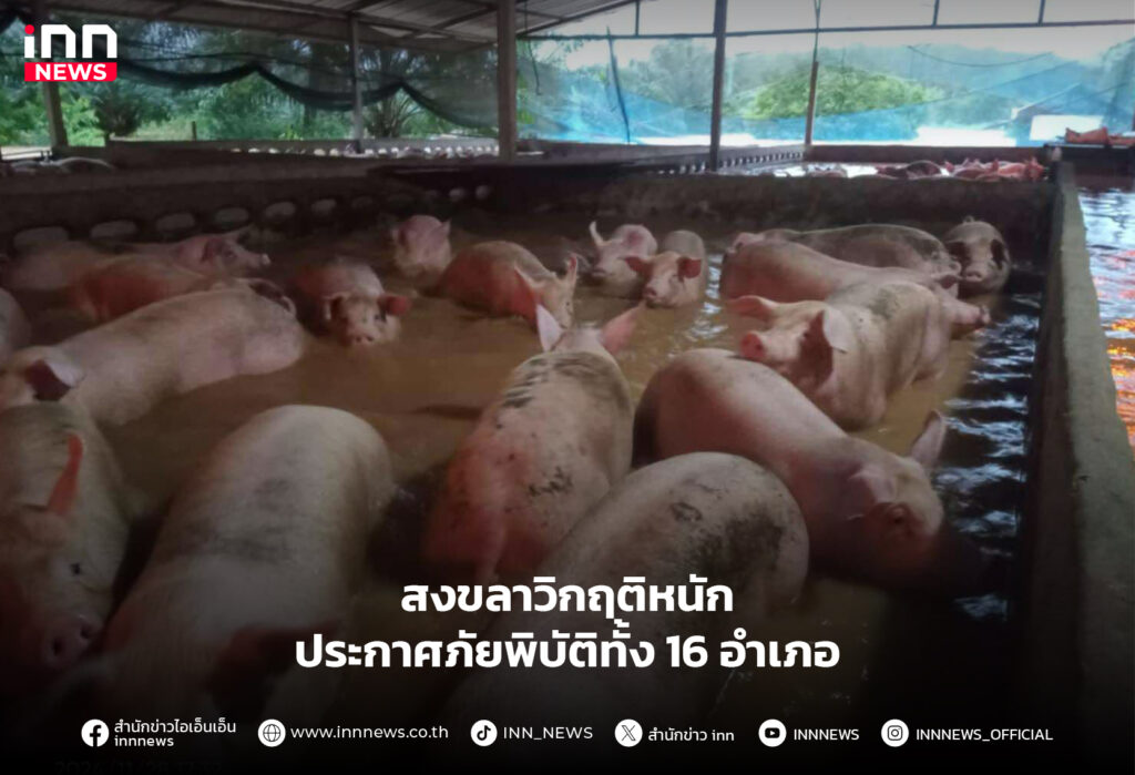 สงขลา น้ำท่วม