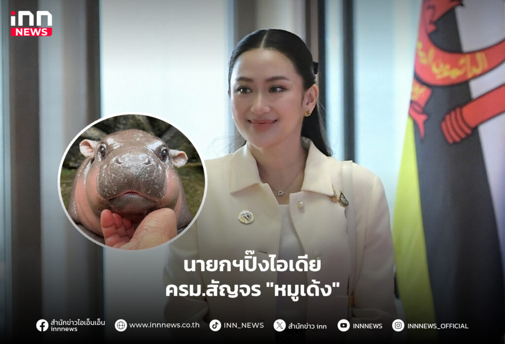 หมูเด้ง