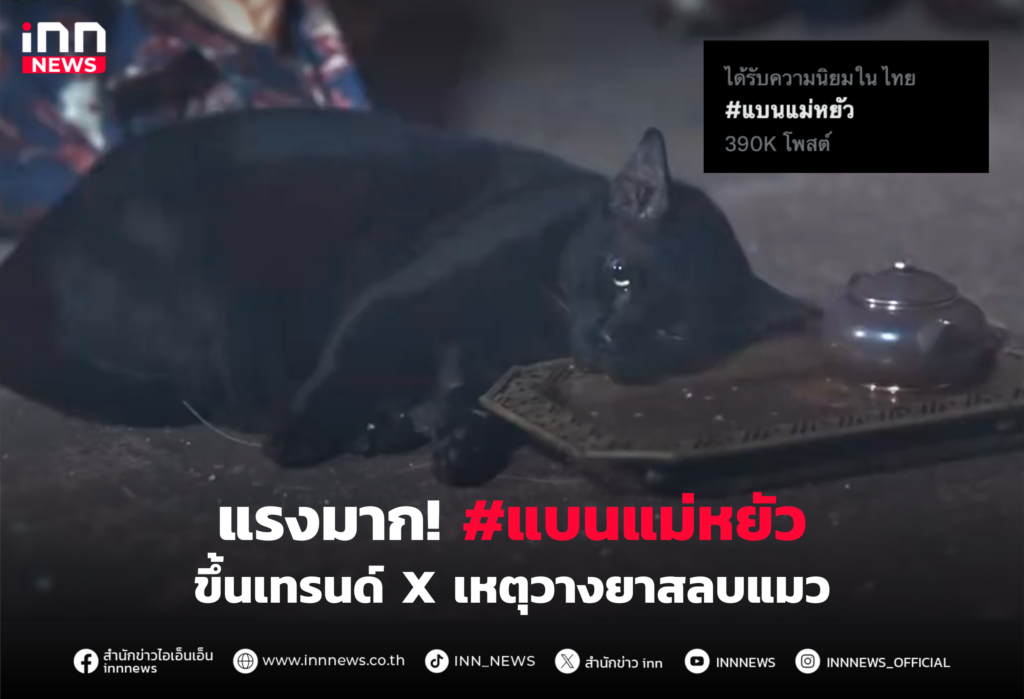 แบนแม่หยัว